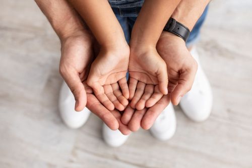 Child custody in Michigan.