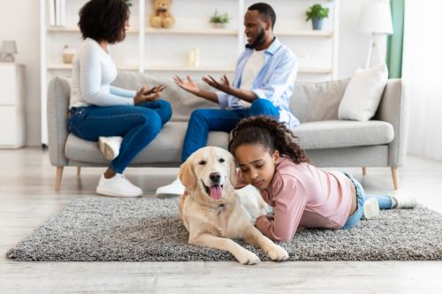 Pet custody in Michigan divorce.